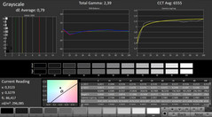 CalMAN - Graylevels (calibrated)