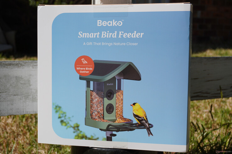 Ajándékozás erősen javasolt 