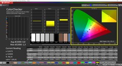 CalMAN ColorChecker kalibrálva