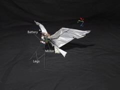 A RoboFalcon2.0 képe (Kép forrása: kutatók; szerkesztve)