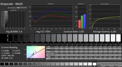 CalMAN: Szürkeárnyalatos