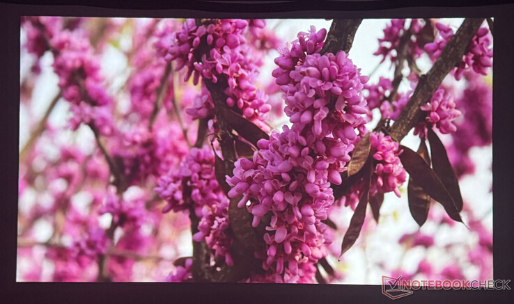 Képminőség Nebula P1 egy elsötétített szobában (Kép forrása: Pexels)