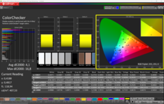 CalMAN ColorChecker