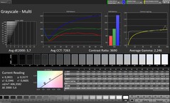 CalMAN szürkeárnyalatos