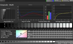 CalMAN: Szürkeárnyalatos