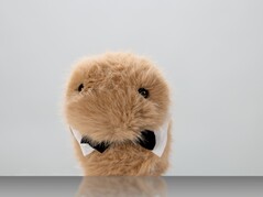 Dieter (Kép forrása: ZKM Karlsruhe)