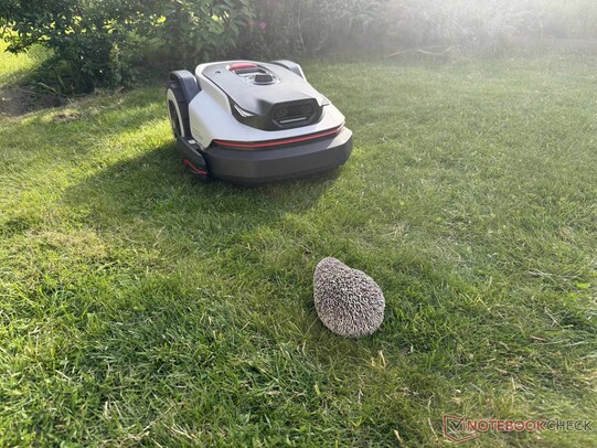 Az igel két kamerával történő észlelése kivételesen jól működött.