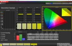 CalMAN telítettség