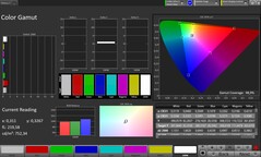 CalMAN sRGB színtér
