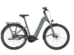 Erős EVO 5F Lite: E-bike sok poggyásszal megrakható. (Kép forrása: Pegasus)
