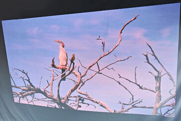 Kültéri vetítővászon (nappali fény) (Kép forrása: Daniel Schmidt)