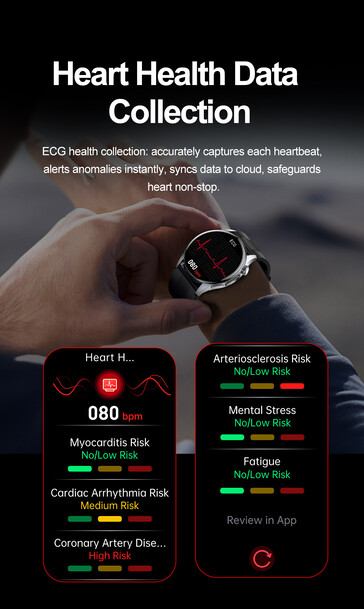 (Kép forrása: Rogbid)