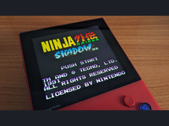 A Ninja Gaiden Shadow DX X-en (kép forrása: Marc Max)