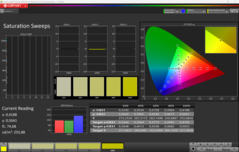 CalMAN Telítettség kalibrálva