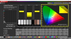 CalMAN ColorChecker (profil: Display P3, cél színtér: P3)