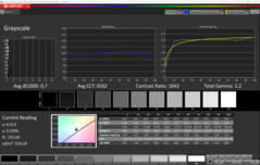 CalMAN szürkeárnyalatos kalibrált