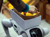 A T1 humanoid robot, amely robotkutyává alakulhat át