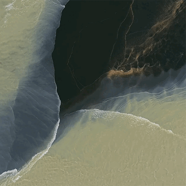 A Pixel 11 Pro Fold háttérképének korai kiszivárgása, amely a fenyőfa, Tidal Swirl megjelenését mutatja be