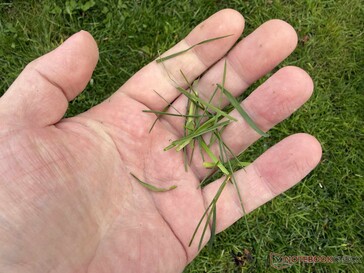 ...mint amire a meghirdetett mulcsozó funkciótól számítottunk.