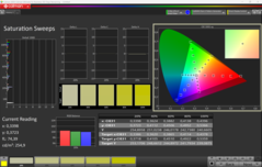 CalMAN telítettség