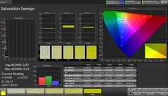 CalMAN telítettség