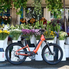 A Momentum Vida E+ e-bike teljes hatótávolsága 88,5 km (55 mérföld) egyetlen feltöltéssel (Kép forrása: Momentum)