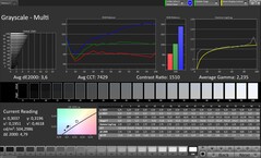 CalMAN szürkeárnyalatos