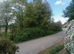 Fő kamerával készült fénykép