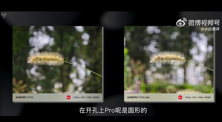 Xiaomi 17 Pro vs Xiaomi 17 Pro Max: 5x teleobjektívvel készített makrofotó összehasonlítva