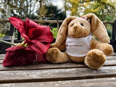 Vivo X300 Pro: Mintafotó