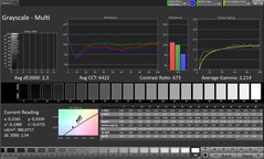 CalMAN szürkeárnyalatos