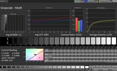 Szürkeárnyalat (profil: Professional, cél színtér: sRGB)