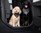Tesla Dog Mode bandana