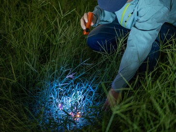 Az Olight ArkPro Ultra UV-fénnyel rendelkezik a szerves foltok észleléséhez.