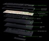A BlackWidow V4 HyperSpeed TKL belső felépítése (Kép forrása: Razer)