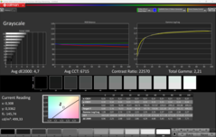 CalMAN szürkeárnyalatos
