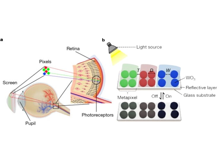 (Kép forrása: Nature)