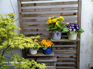 Vivo X300 Ultra