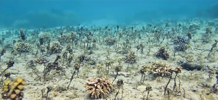 Óceán üzemmóddal