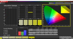 CalMAN telítettség