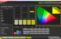 CalMAN telítettség