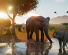 A Planet Zoo 2 október 13-án jelenik meg, és már a megjelenés előtt a Steam legnagyobb bevételt termelő játékai közé tartozik.
