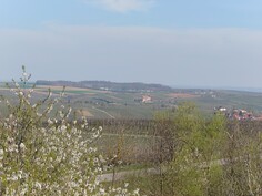Sony Xperia 1 VI - 5x zoom