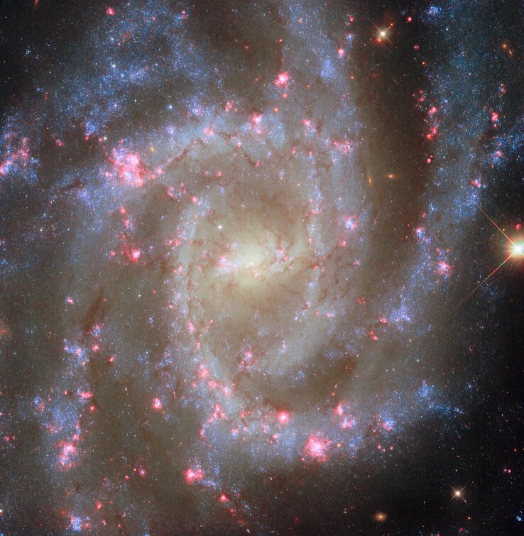 Az NGC 2835 POTW képe (A kép forrása: ESA, NASA, R. Chandar, J. Lee, és a PHANGS-HST csapat)
