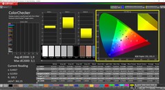 CalMAN ColorChecker (profil: natív, cél színtér: P3)