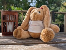 Google Pixel 10 Pro: Mintafotó