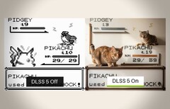 30 év után végre kiderül az igazság: Pidgey egy galambjelmezbe bújt macska.