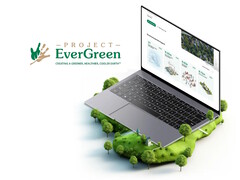 A Project EverGreen Clean Air Calculator segítségével az ingatlantulajdonosok gyorsan megbecsülhetik a kertépítés környezeti hatását. (Kép forrása: Project EverGreen)