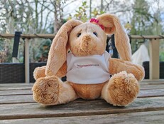 Honor Magic7 Pro: Mintafotó