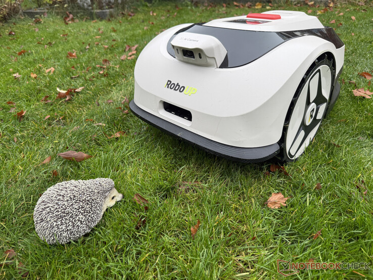 A Raccoon 2 SE nem mindig ismerte fel a sünbábut a teszt során